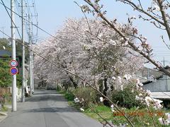 88-fujisawa.jpg 2592x1944 959KB 